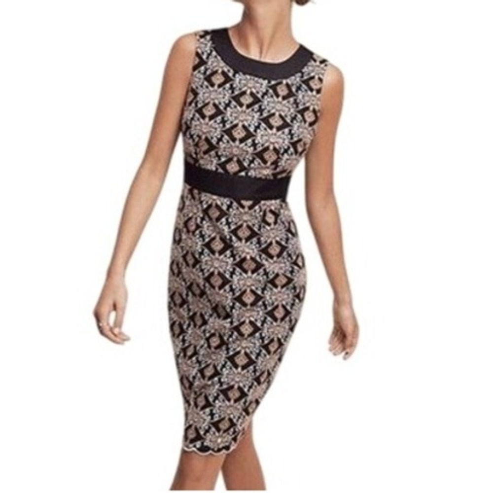 HD in Paris Black and Cream Midi Dress